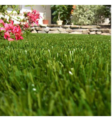 How to have a beautiful lawn